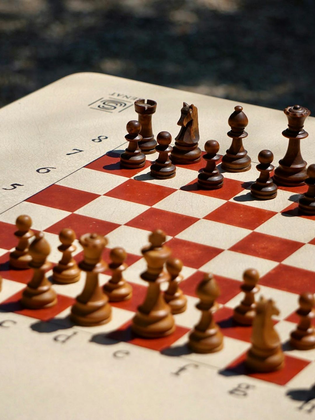 Chess strategy business